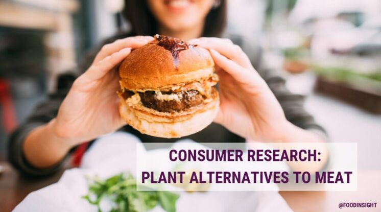 Consumer Survey on Plant Alternatives to Meat Shows That Nutrition Facts Are More Influential Than the Ingredients List