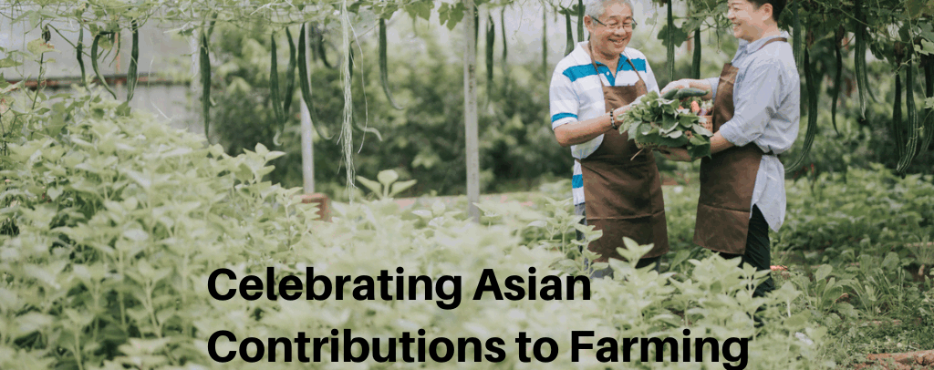 AAPI Heritage Month: Celebrating Asian Contributions to Farming