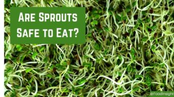 Are Sprouts Safe to Eat__opt.jpg
