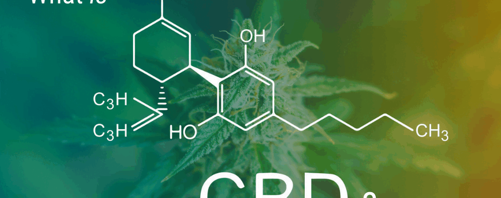What You Should Know About Cannabinoids: CBD and THC