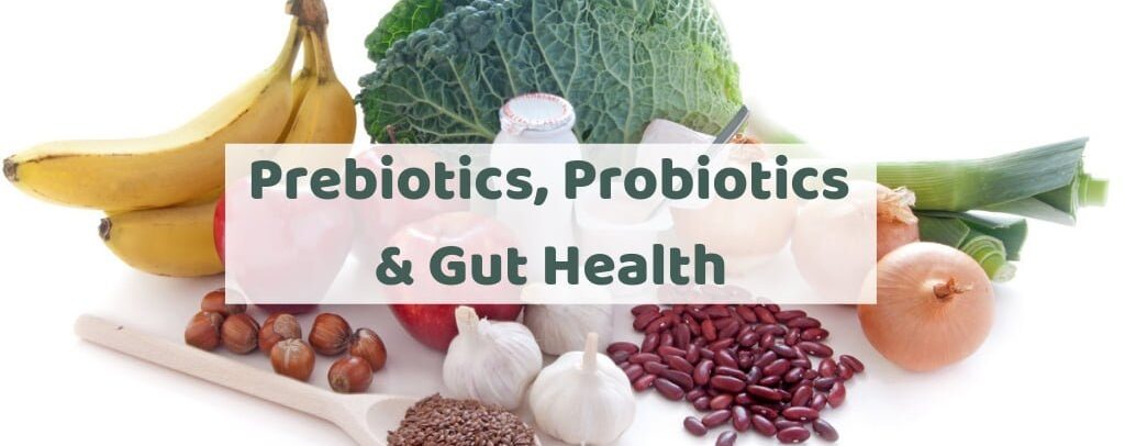 Nutrition 101: Prebiotics, Probiotics and the Gut Microbiome