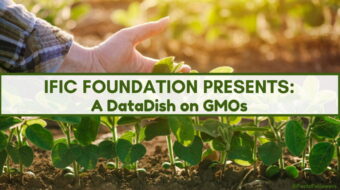 Datadish podcast GMOs_0.jpg
