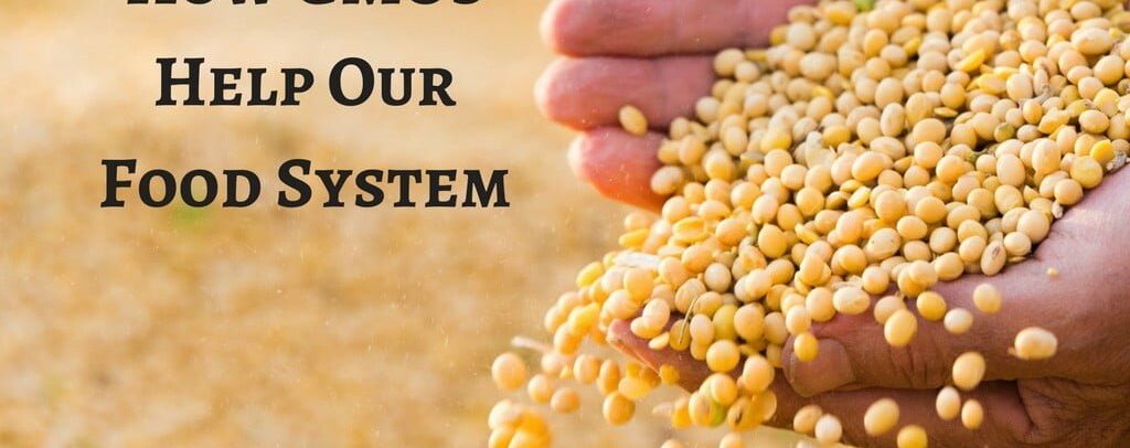 How GMOs Help Our Food Supply & Environment (1)optimized.jpg