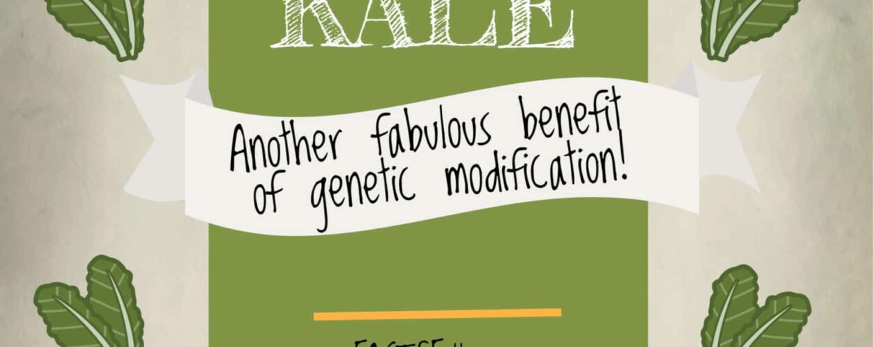 Kale- GMO! Header_3.jpg
