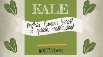 Kale- GMO! Header_3.jpg