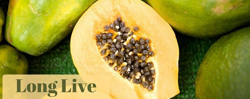 Long Live the Papaya_0.jpg