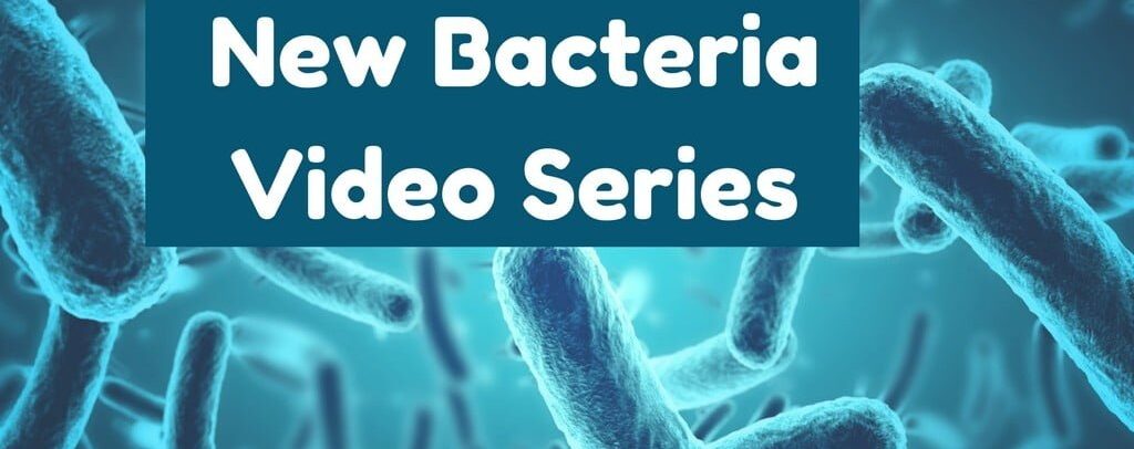 New Bacteria Video Series (1)_0.jpg