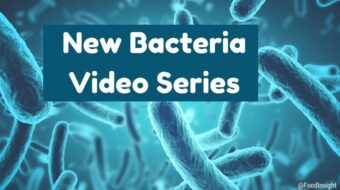 New Bacteria Video Series (1)_0.jpg