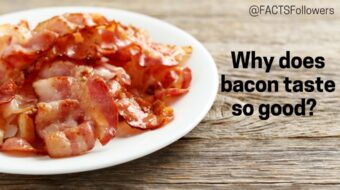 Nitrites (1)_1 (1).jpg