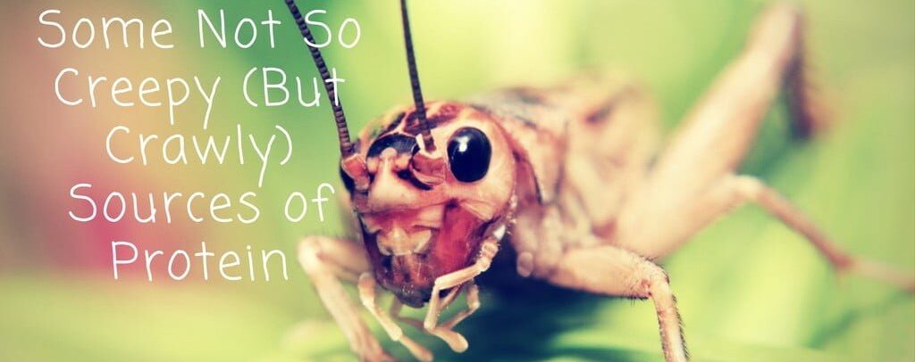 Not So Creepy Crawly Sources of Protein (2)_0.jpg