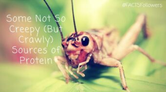 Not So Creepy Crawly Sources of Protein (2)_0.jpg
