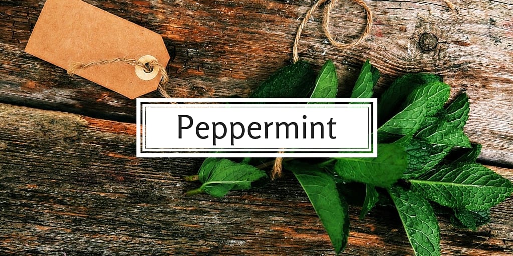 Peppermint