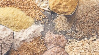 Tools for Success_ Whole Grains.jpg