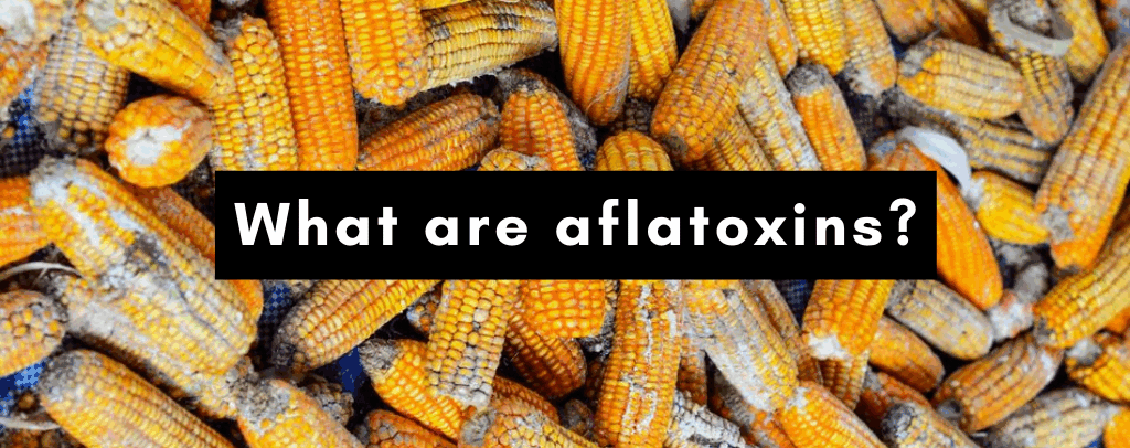 Aflatoxins in the U.S. Food Supply