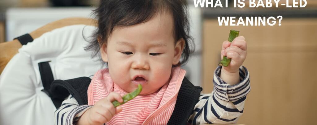 What Is Baby-Led Weaning?