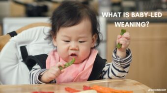 What Is Baby-Led Weaning?