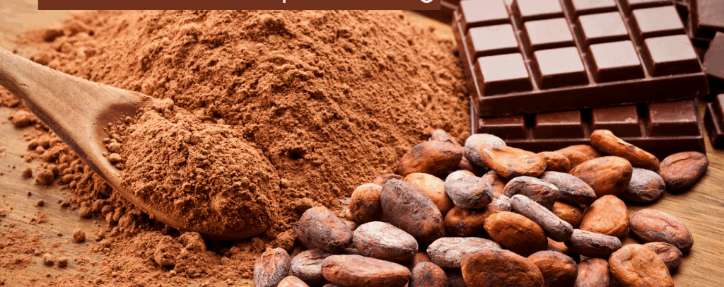 Unwrapping Our Chocolate: Cocoa Processing Insights