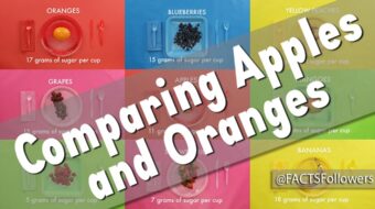 comparing-apples-oranges.jpg
