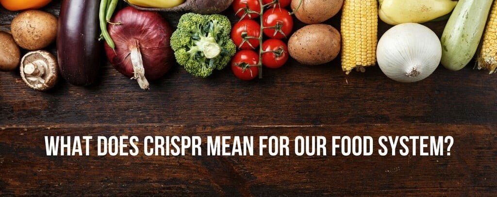 crispr (1)_opt.jpg