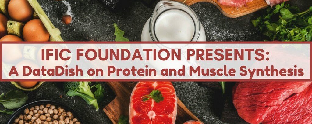 datadish on protein and muscle synthesis.jpg
