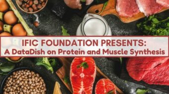 datadish on protein and muscle synthesis.jpg