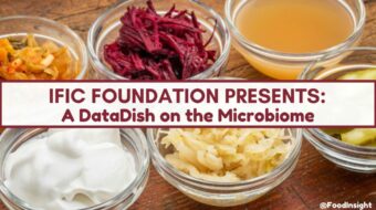 datadish podcast microbiome_0.jpg