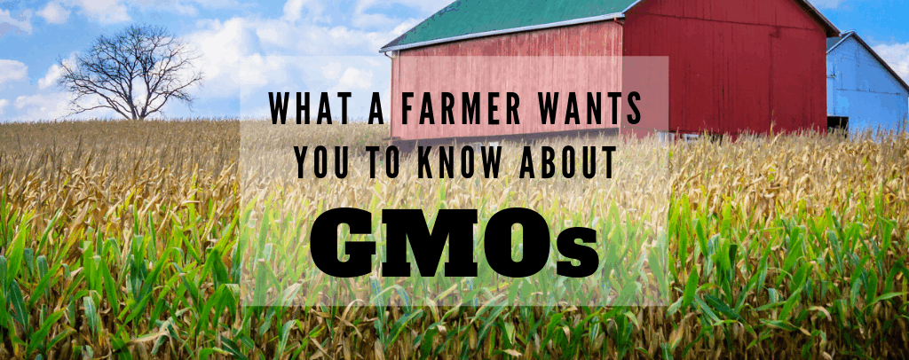 Taking Another Look at GMO Crops: Q&A with a Farmer