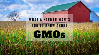 Taking Another Look at GMO Crops: Q&A with a Farmer