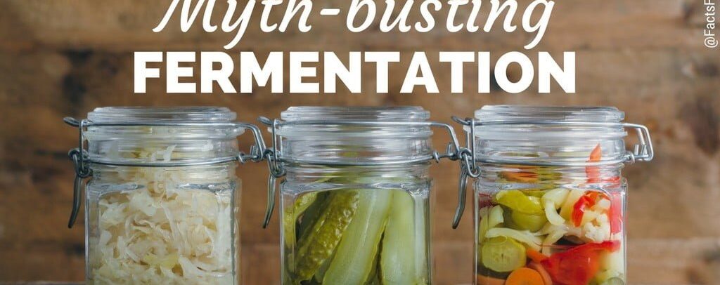 fermentation (3)_optimized.jpg