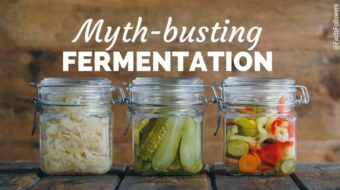 fermentation (3)_optimized.jpg