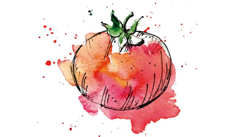 glutamate-tomato-msg-umami