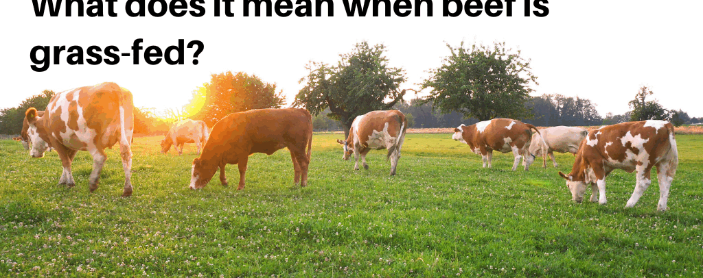 What Is Grass-Fed Beef, and How Is It Regulated?