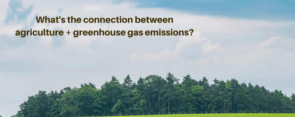 What's the connection between agricultural and greenhouse gas emission? Agriculture and Greenhouse Gas Emissions