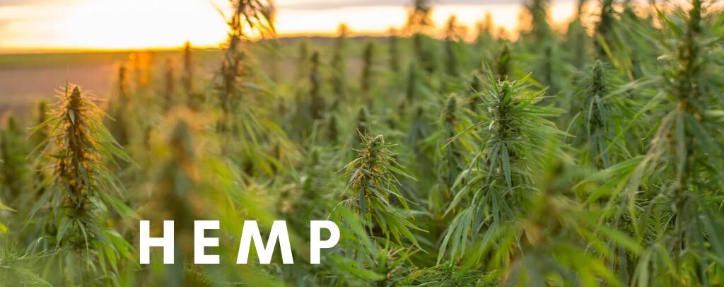 Hemp Cultivation and Regulation