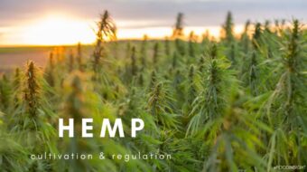 Hemp Cultivation and Regulation