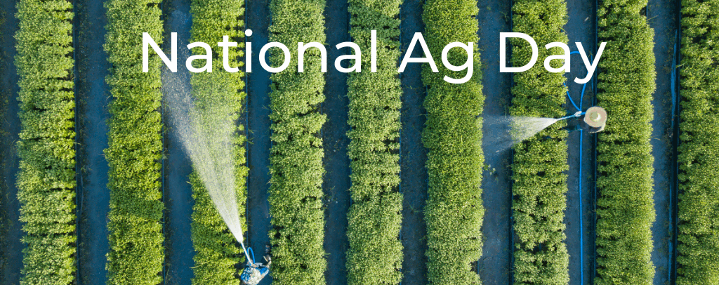 Appreciating Water on National Ag Day