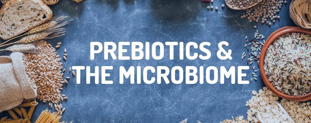 prebiotics and the microbiome.jpg