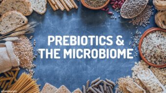 prebiotics and the microbiome.jpg