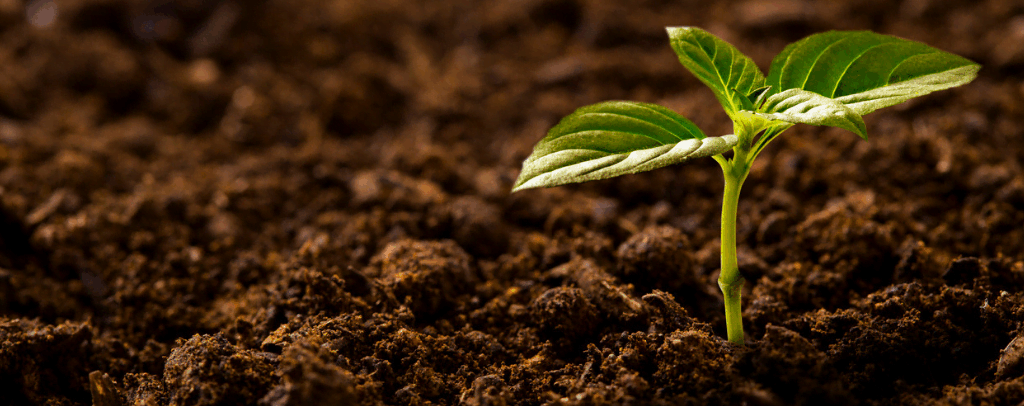 Earth Day 2019: Taking Some Time for Soil Appreciation