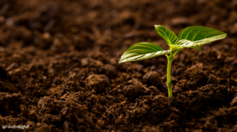 Earth Day 2019: Taking Some Time for Soil Appreciation