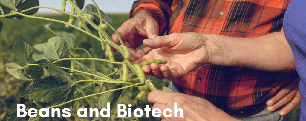 Beans and Biotech: Why Soybeans Are the Stars of Genetically Modified Foods