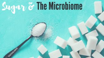 sugar and the microbiome.jpg