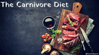 the carnivore diet.jpg
