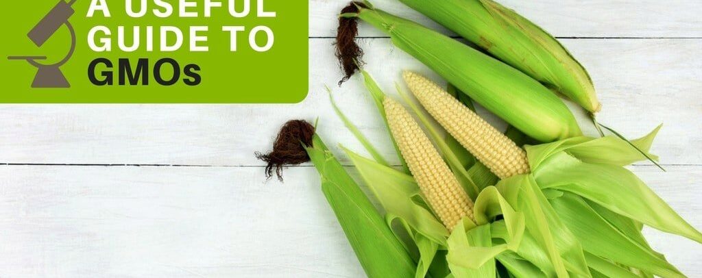useful guide to gmos_0.jpg