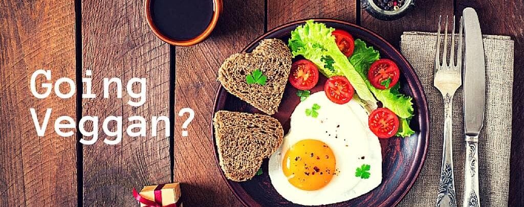 veggan header_2.jpg