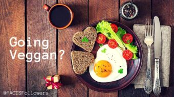 veggan header_2.jpg
