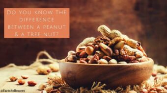 Do you know the differencebetween a peanut & a tree nut_ (1)_0.jpg